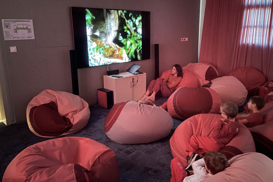 Home Cinema Space